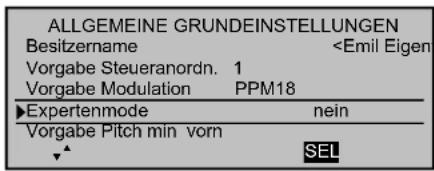 ALLGEMEINE GRUNDEINSTELLUNGEN Besitzername