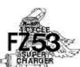 YS FZ53 - WARRANTY - 1