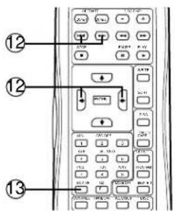 Diagram of a remote control device with labeled buttons and function keys, numbered 12 and 13.