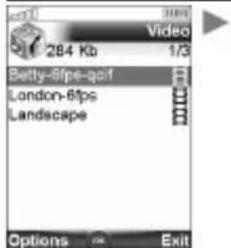 284 Kb 1/3 Betty-8fps-qolf London-8fps Landscape Options Exit
