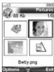 Pictures 85 Kb 1/5 Betty.png Options Exit
