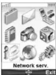 Network serv. Exit