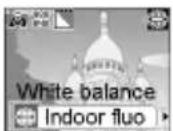 MITSUBISHI M900 - To set the white balance - 1