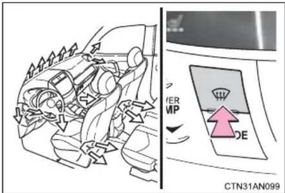 VER MP DE CTN31AN099