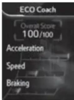 ECO Coach Overall Score 100/100 Acceleration Speed Braking