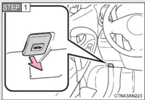 STEP 1 CTN43AN223