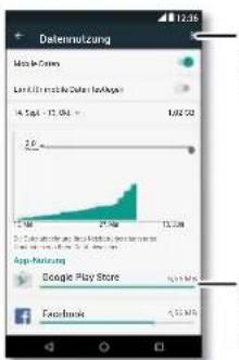 Datennutzung Mio in Cenlo Last 12 March 2020 14.56 - 13.08 1.02.02 2.0 App-Netzung Google Play Store Facebook 5.53 Mio