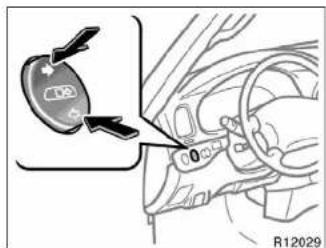 CD8 R12029