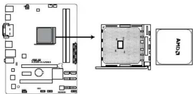 ASUS A55M-A - Accelerated Processing Unit (APU) - 2