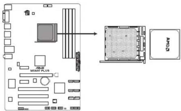ASUS M5A97 PLUS - Central Processing Unit (CPU) - 2
