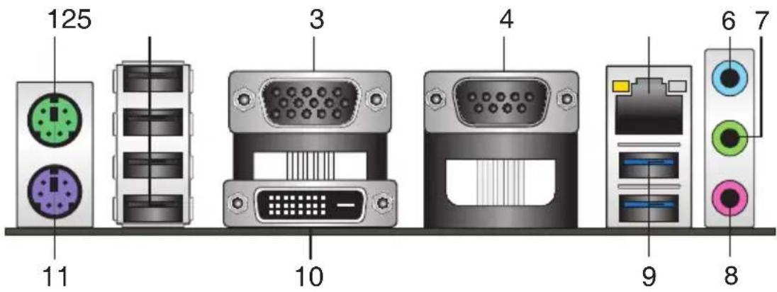 ASUS PRIME H310M-C/CSM - Rear panel connectors - 1