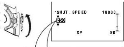SHUT. SPEED 250 10000 SP 50