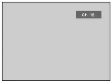 CH 12