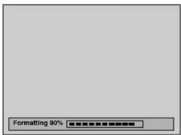 Formatting 90%