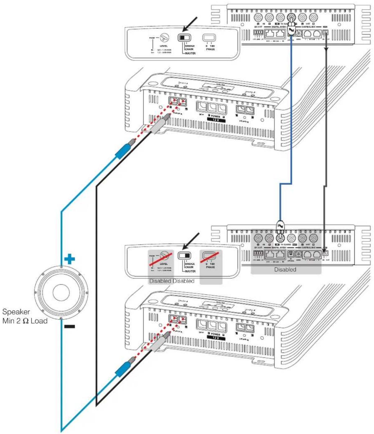 AUDISON Thesis TH uno - Rear Panel - 1