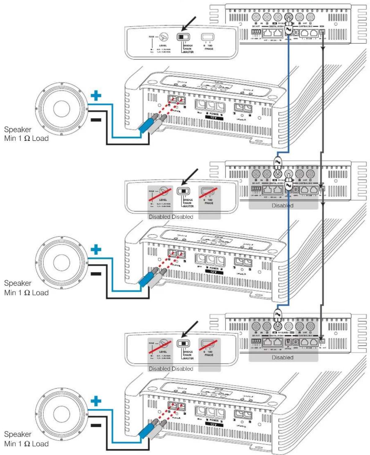 AUDISON Thesis TH uno - Rear Panel - 1