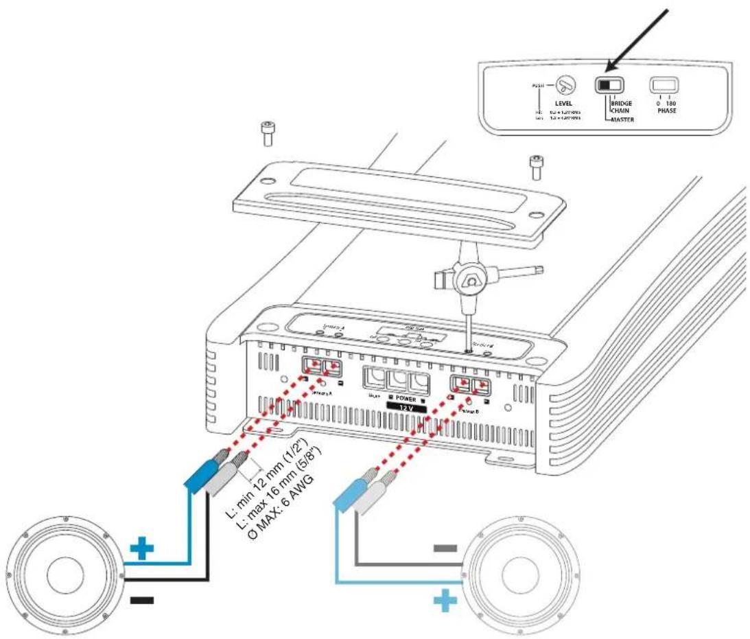 AUDISON Thesis TH uno - Rear Panel - 1