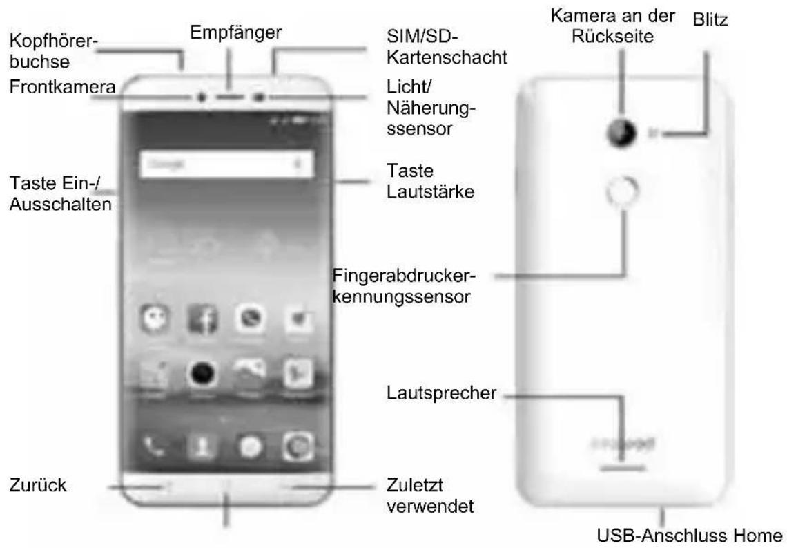 Coolpad Torino - Geräte-Layout - 1