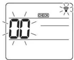 CHECK 00
