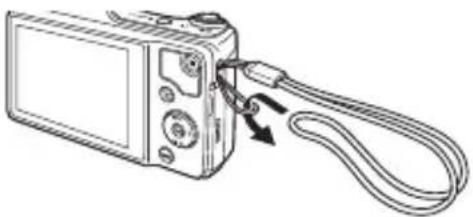 OLYMPUS DZ-100 - INFO - 2