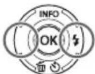 OLYMPUS DZ-100 - Use ◀▶ to select an image. - 1
