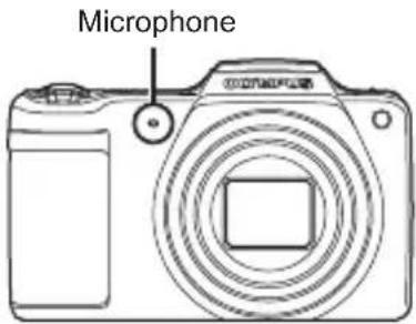 OLYMPUS DZ-100 - Adding sound to still images [!] - 1