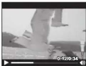 OLYMPUS DZ-100 - Playing back movies - 2
