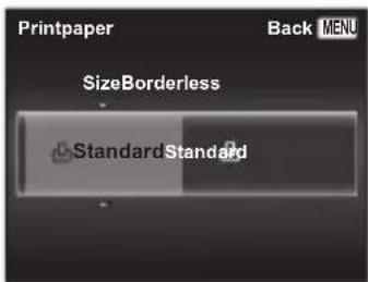 OLYMPUS DZ-100 - Changing the printer's settings for printing [Custom Print] - 1