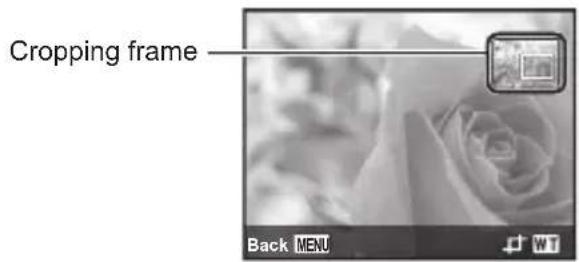OLYMPUS DZ-100 - Cropping image ▶ [☐] - 1