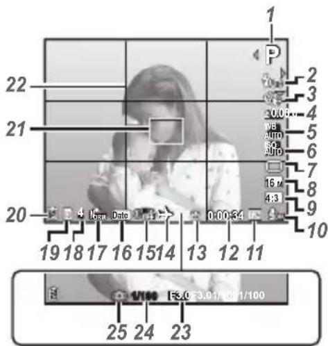 OLYMPUS DZ-100 - Shooting screen displays - 1
