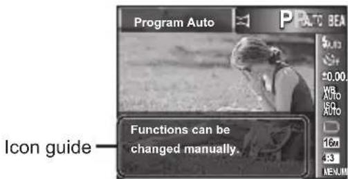 OLYMPUS DZ-100 - Displaying icon guides [Icon Guide] - 1