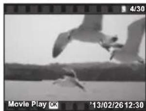 OLYMPUS DZ-100 - Playing back movies - 1