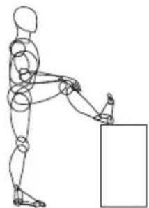 Waterrower M1 Lorise - C.1. Stretching - 1