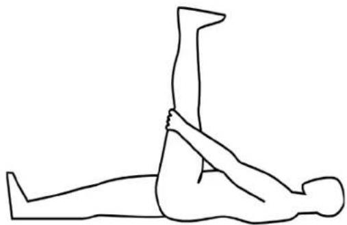 TAURUS UB10.5 Pro - Exercise: Stretching the back thigh / leg curl (hamstring) - 1