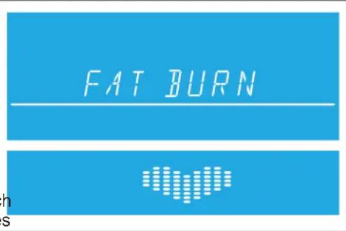 Life Fitness E1 Track Connect - Training „Fat Burn“ (Fettabbau) (Anfänger – Trainingsbeginn) - 1