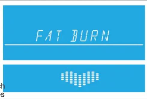 Life Fitness E3 Track Connect - Training „Fat Burn“ (Fettabbau) (Anfänger – Trainingsbeginn) - 1