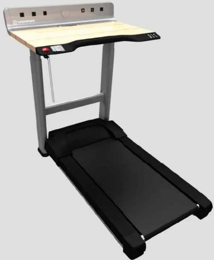 Life Fitness Treadmill Desk - 1
