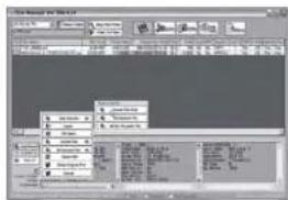 MVision HD-300N - X-3 Come convertire i file Divx Manager - 1