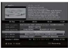 MVision HD-300N - EPG Reserved Recording - 3
