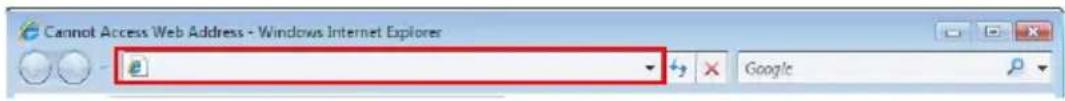 Cannot Access Web Address - Windows Internet Explorer e Google