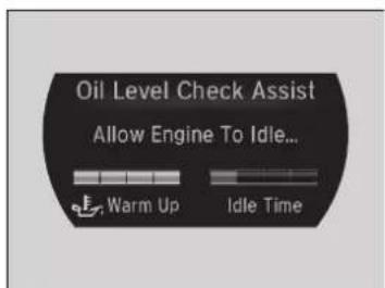 Acura NSX (2020) - Oil Check - 3