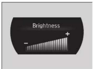 Acura NSX (2020) - Brightness Control - 2