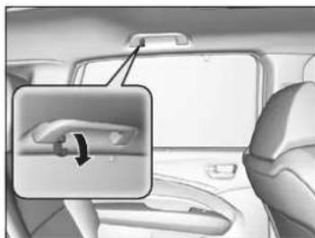 Acura MDX Sport Hybrid (2020) - Coat Hooks - 1