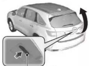 Acura MDX Sport Hybrid (2020) - Tailgate - 2