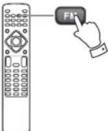 FM