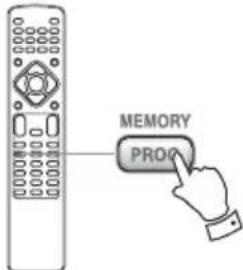 MEMORY PROP