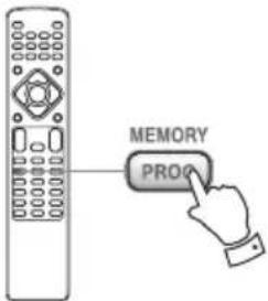 MEMORY PRO