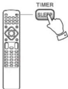 TIMER SLEEP