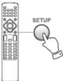 SETUP