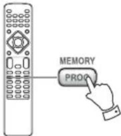 MEMORY PROP